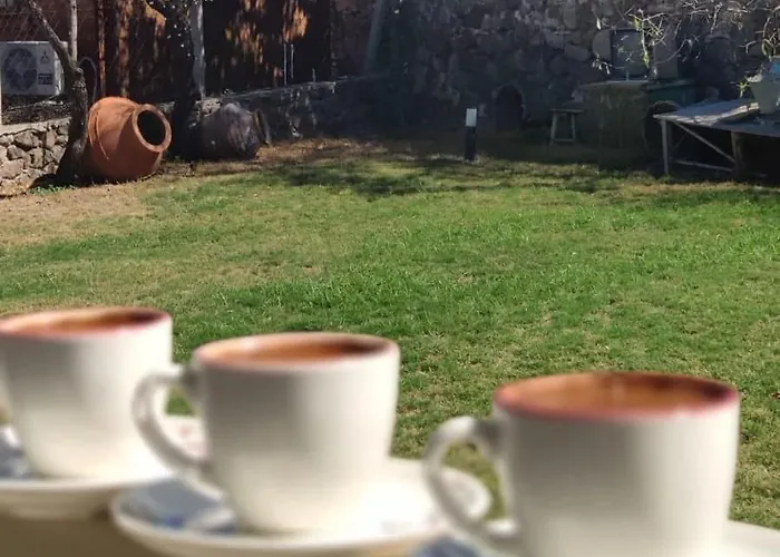 Lejlighedshotel Limon Cicegi *